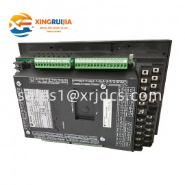 GE 369-HI-R-M-0-0-0-E Industrial Module