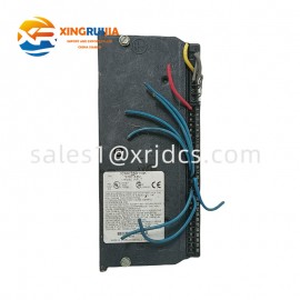 GE IC660BBD110 Input Module